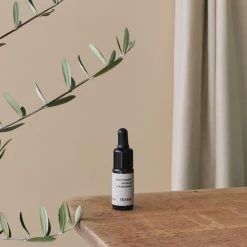 THE PLANT SOCIETY From Soil To Form | Deep Forest By FRAMA