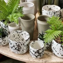 THE PLANT SOCIETY TOBASHI Planter By Yoshinori Takemura - Medium