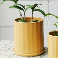 THE PLANT SOCIETY All Planters Tan Faceted Planter By Arcadia Scott