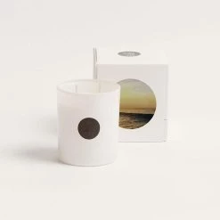 THE PLANT SOCIETY Bondi 5 Candle By The Raconteur