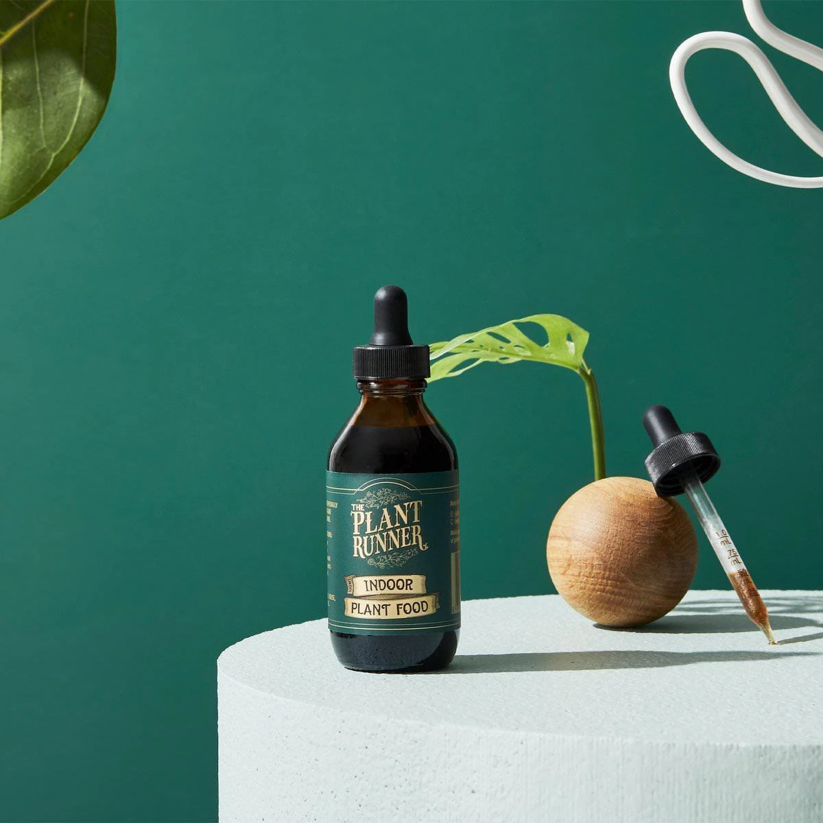 THE PLANT SOCIETY Plant Care Liquid Indoor Plant Food By Plant Runner 3 THE PLANT SOCIETY Plant Care Liquid Indoor Plant Food By Plant Runner