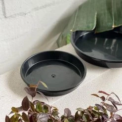 THE PLANT SOCIETY Growers Saucer