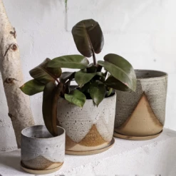 THE PLANT SOCIETY Misty Morning Planter By Leaf & Thread All Planters