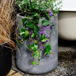 THE PLANT SOCIETY ONLINE OUTPOST Large Planters Tapered Planter In Cement Grey