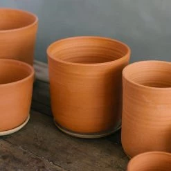 THE PLANT SOCIETY All Planters Terracotta Planter By Leaf & Thread