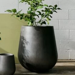 THE PLANT SOCIETY ONLINE OUTPOST Large Planters Tear Drop Planter