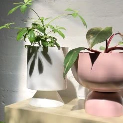 THE PLANT SOCIETY Large Goblet Planter By Lightly 14 THE PLANT SOCIETY Large Goblet Planter By Lightly