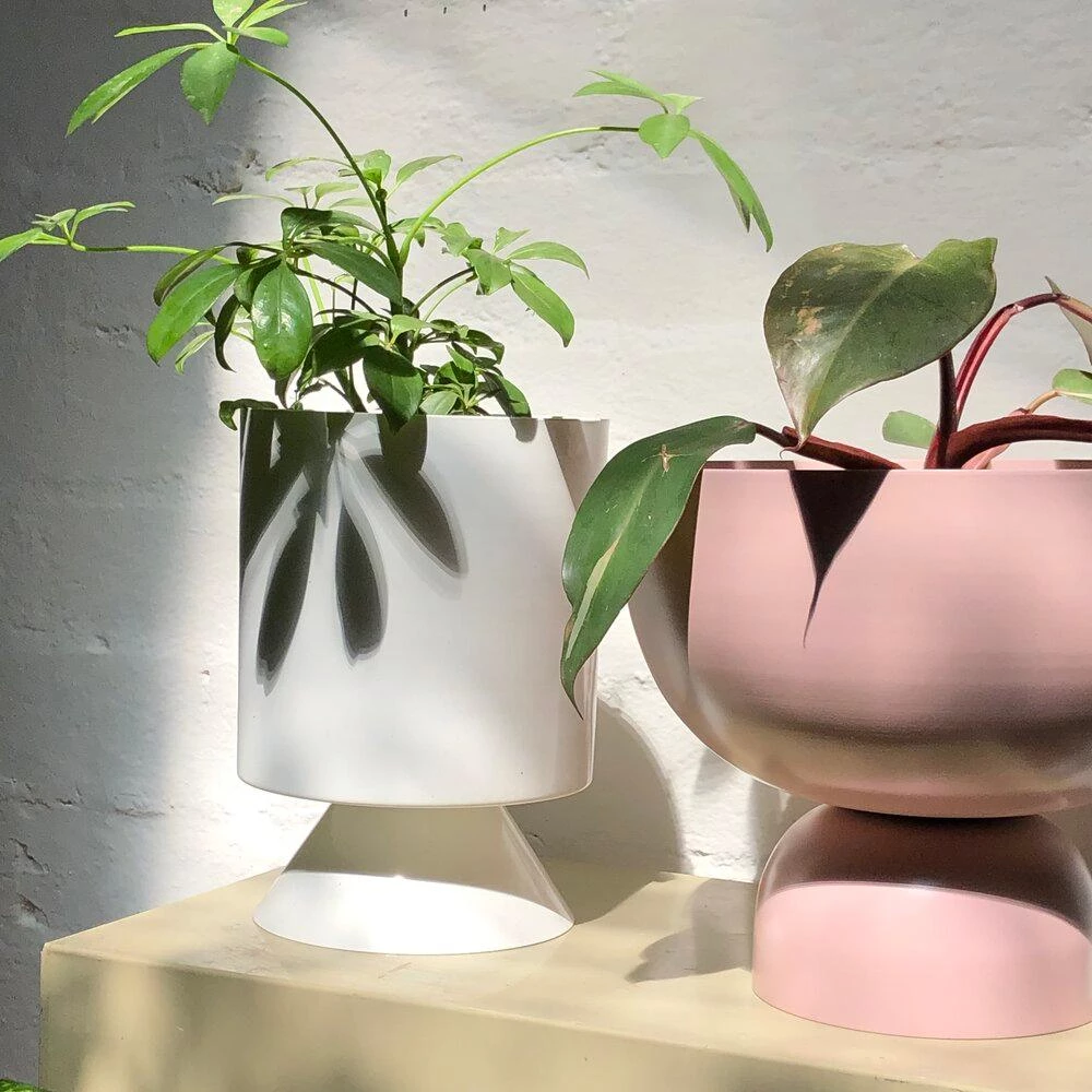 THE PLANT SOCIETY Large Goblet Planter By Lightly 5 THE PLANT SOCIETY Large Goblet Planter By Lightly