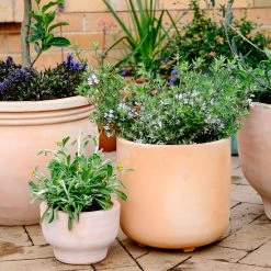 Terracotta Collection By The Plant Society Terracotta Planters