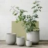 THE PLANT SOCIETY Patio Planter Large Planters