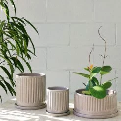 THE PLANT SOCIETY Lilac Fluted Planter By Arcadia Scott All Planters