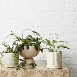 THE PLANT SOCIETY Plant Care Mini Loop Plant Stake By Ivy Muse