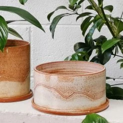 THE PLANT SOCIETY Landscape Rust Planter By Arcadia Scott All Planters