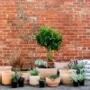 Terracotta Collection By The Plant Society Terracotta Planters 1 Terracotta Collection By The Plant Society Terracotta Planters