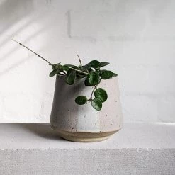 THE PLANT SOCIETY Mid White Planter By Penelope Duke All Planters