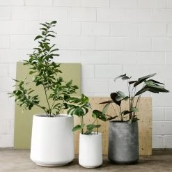 THE PLANT SOCIETY ONLINE OUTPOST Tapered Planter In White
