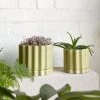 THE PLANT SOCIETY Wheat Tilde Planter By Ella Reweti