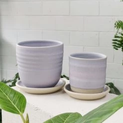 THE PLANT SOCIETY Straight Planter By Katherine Mahoney All Planters