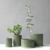 THE PLANT SOCIETY Dark Green Fluted Planter By Arcadia Scott All Planters