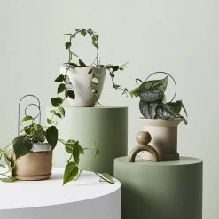 THE PLANT SOCIETY Mini Loop Plant Stake By Ivy Muse