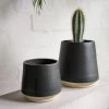 THE PLANT SOCIETY All Planters Mid Black Planter By Penelope Duke
