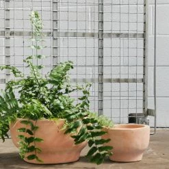 THE PLANT SOCIETY Terracotta Planters Pelosa Planter 10 THE PLANT SOCIETY Terracotta Planters Pelosa Planter