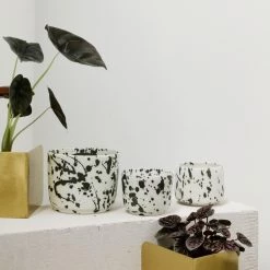 THE PLANT SOCIETY TOBASHI Planter By Yoshinori Takemura - Small