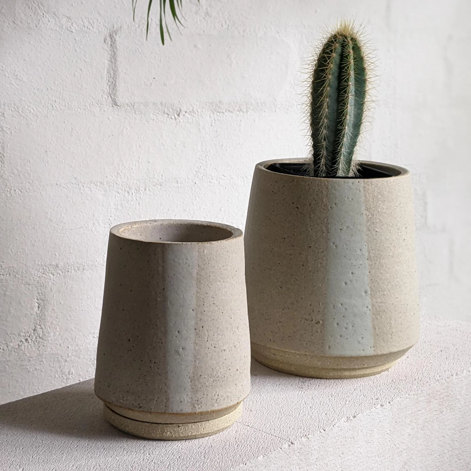 THE PLANT SOCIETY Tall White Planter By Penelope Duke 4 THE PLANT SOCIETY Tall White Planter By Penelope Duke