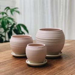 THE PLANT SOCIETY Round Planter By Katherine Mahoney