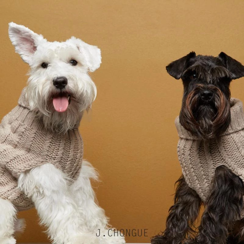 THE PLANT SOCIETY John B Dog Coat In Beige By The Painter's Wife All Homewares 3 THE PLANT SOCIETY John B Dog Coat In Beige By The Painter's Wife All Homewares