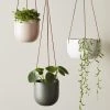 THE PLANT SOCIETY Small Cade Planter By Evergreen Collective