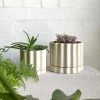 THE PLANT SOCIETY All Planters Limestone Tilde Planter By Ella Reweti