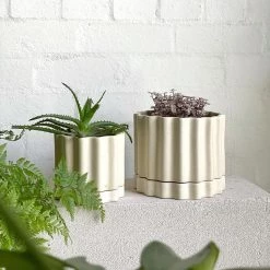 THE PLANT SOCIETY All Planters Limestone Tilde Planter By Ella Reweti