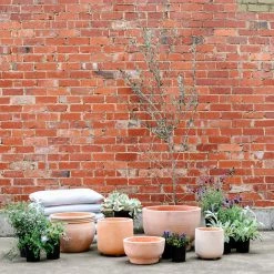 Terracotta Collection By The Plant Society Terracotta Planters