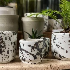 THE PLANT SOCIETY TOBASHI Planter By Yoshinori Takemura - Small