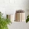 THE PLANT SOCIETY Salt Lake Tilde Planter By Ella Reweti All Planters