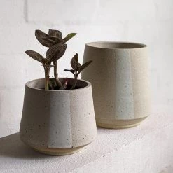 THE PLANT SOCIETY Mid White Planter By Penelope Duke All Planters