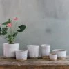THE PLANT SOCIETY Misty Morning Planter By Leaf & Thread All Planters
