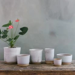 THE PLANT SOCIETY Misty Morning Planter By Leaf & Thread All Planters