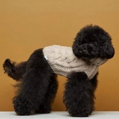 THE PLANT SOCIETY John B Dog Coat In Beige By The Painter's Wife All Homewares 9 THE PLANT SOCIETY John B Dog Coat In Beige By The Painter's Wife All Homewares