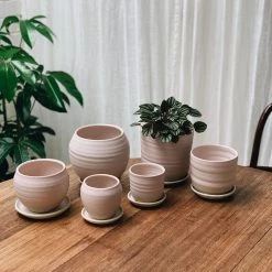 THE PLANT SOCIETY Round Planter By Katherine Mahoney