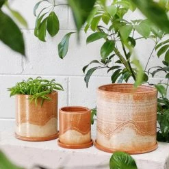 THE PLANT SOCIETY Landscape Rust Planter By Arcadia Scott All Planters