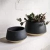 THE PLANT SOCIETY Wide Black Planter By Penelope Duke