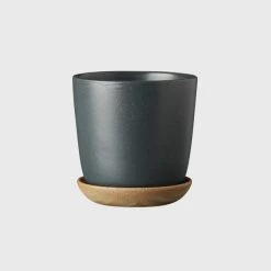 THE PLANT SOCIETY Bonnie Planter In Slate By Evergreen Collective