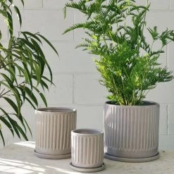 THE PLANT SOCIETY Lilac Fluted Planter By Arcadia Scott All Planters