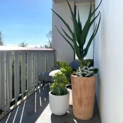 THE PLANT SOCIETY ONLINE OUTPOST U-Planter