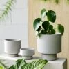 THE PLANT SOCIETY Grey Collectors Gro Pot By Angus & Celeste