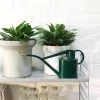 THE PLANT SOCIETY Metal Watering Can By Haws 2 THE PLANT SOCIETY Metal Watering Can By Haws