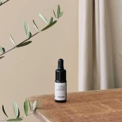 THE PLANT SOCIETY From Soil To Form | St. Pauls By FRAMA