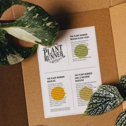THE PLANT SOCIETY Plant Care The Plant Runner Booster Kit